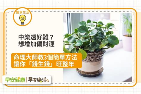 增加偏財運的方法2023|如何加強偏財運？風水命理專家教你招財秘訣